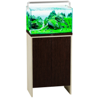 akvarium biodizajn iwagumi 55_venge